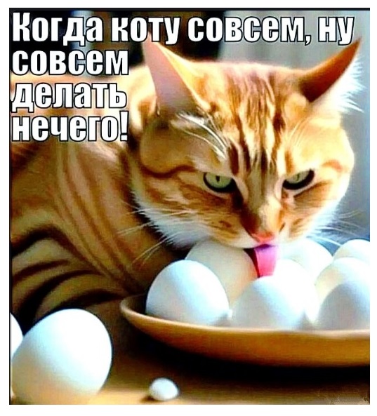 csvhnmsigdgmhquhuca0.jpeg