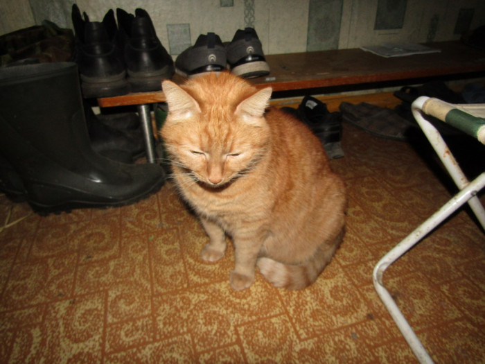 IMG_1622.jpg