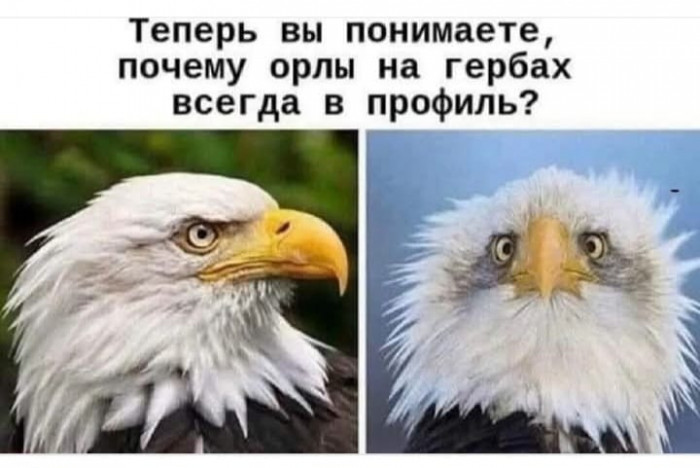 62.jpg