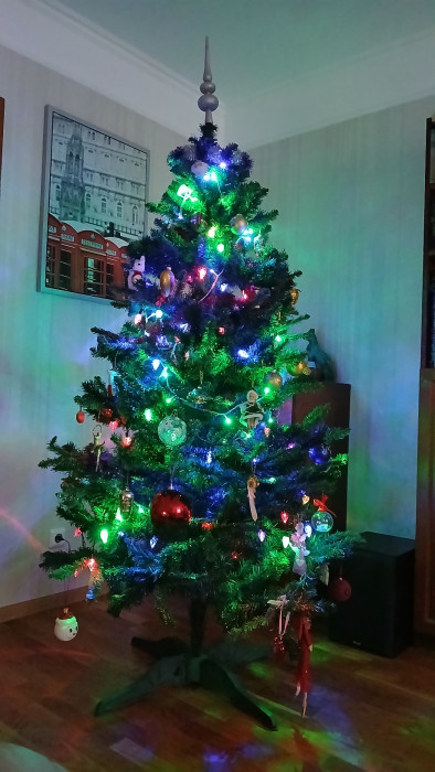20241222_155314.jpg