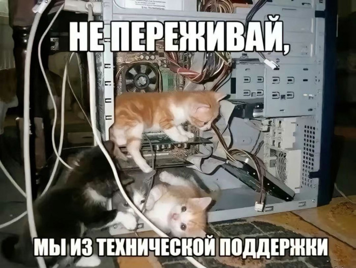 62.jpg
