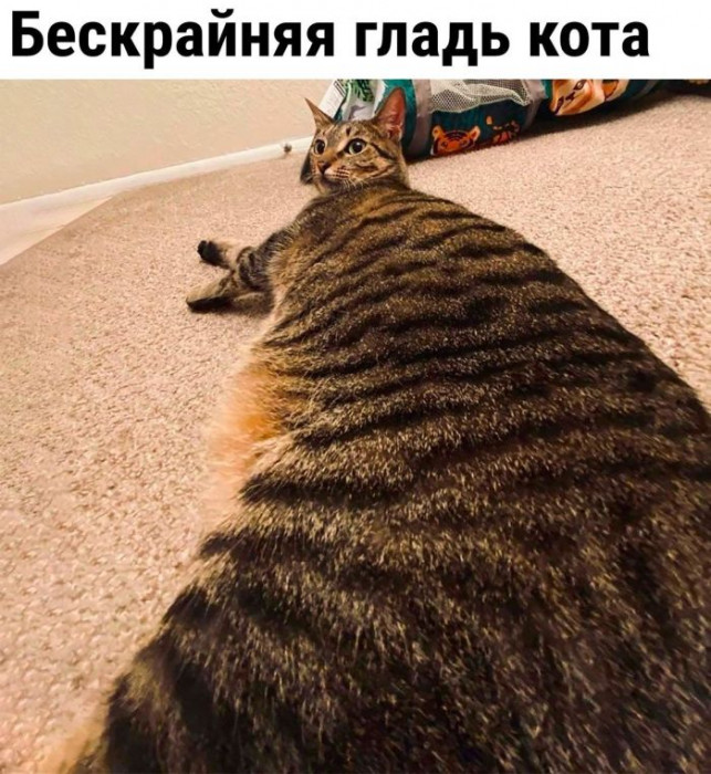cu9k4jcigdgr73h3bl1g.jpeg