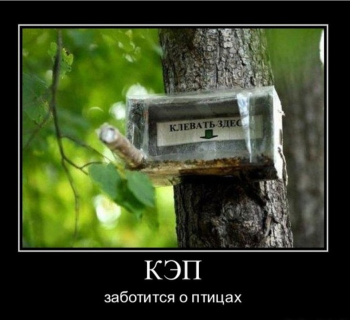 IMG_20250127_165542.jpg