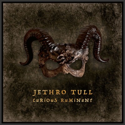 Jethro Tull - Curious Ruminant - 2025.jpg