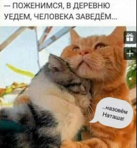 cv72jp6smbqk8b91lrq0.png