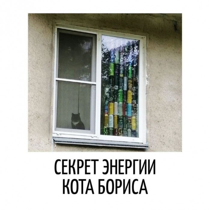 1.jpeg