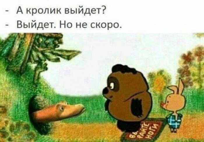 кролик.jpg