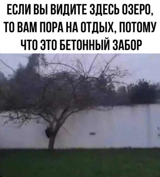 cvdpbumsmbqohcm1grqg.jpeg