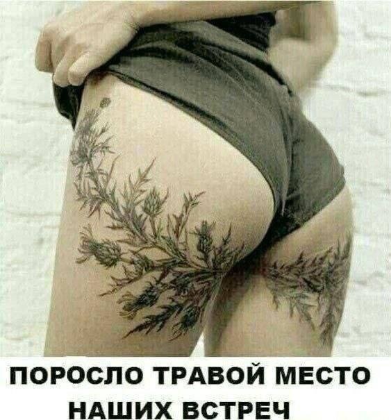 cvduk1usmbqohcm1gsb0.jpeg