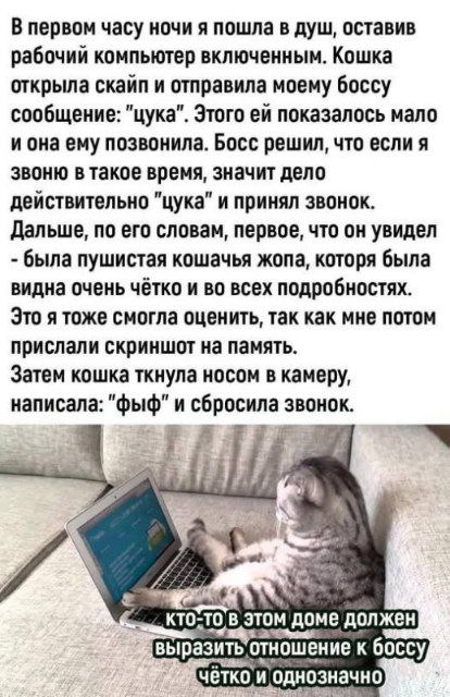 cvg3tbusmbqrth9v1110.png