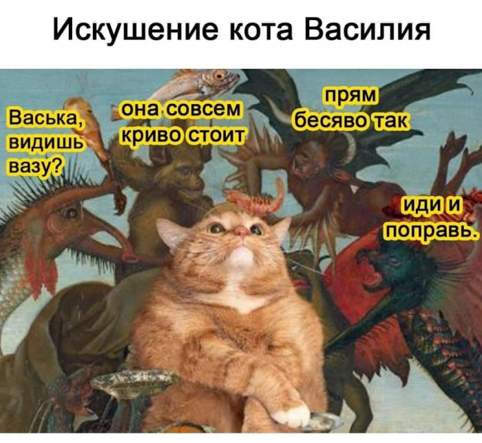 cvgl43msmbqrth9v12cg.jpeg