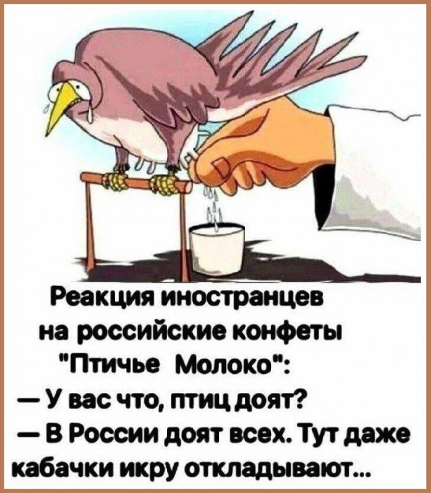 cvir446smbqrth9v1bcg.jpeg