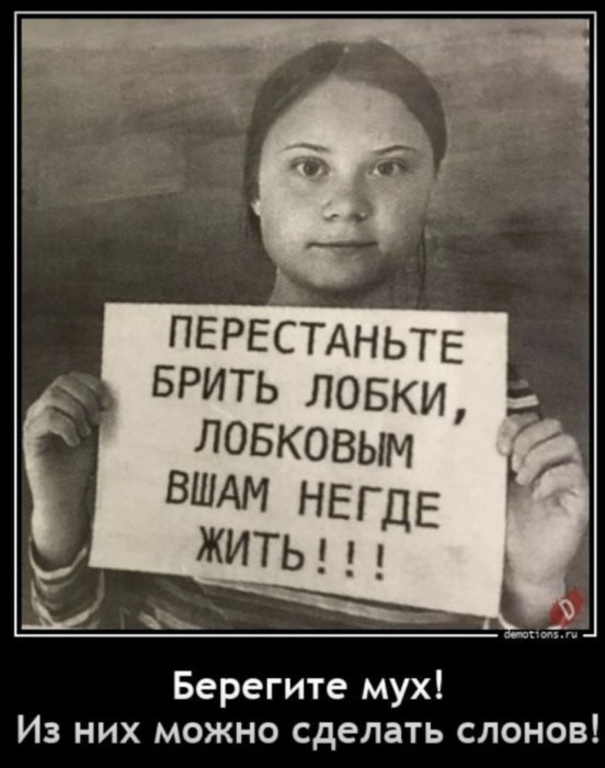 IMG_1052.jpeg