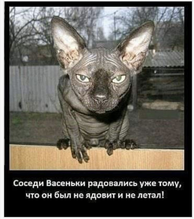 IMG_1061.jpeg