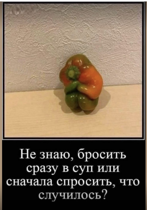 IMG_1067.jpeg