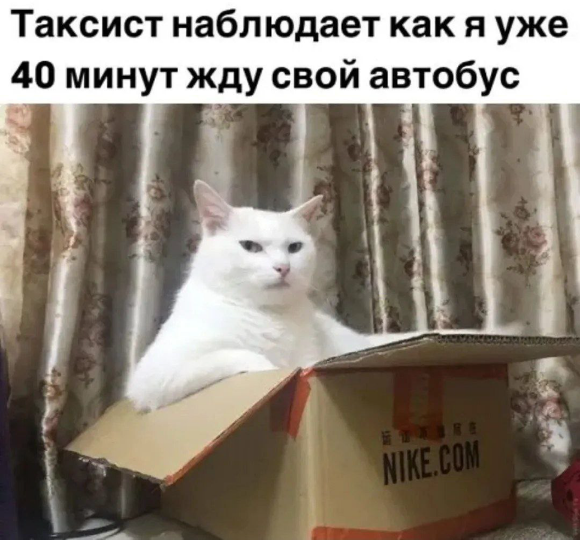 cvnn81esmbqkle61si7g.png