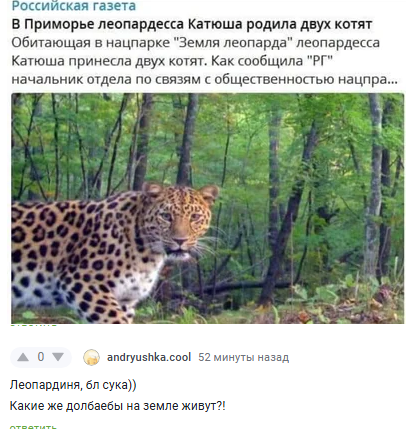 cvrgedmsmbqgrh5trdjg.png