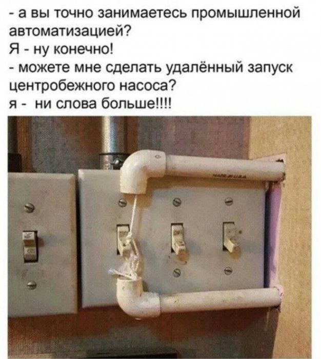 d08s6d6smbqhoratn11g.jpeg