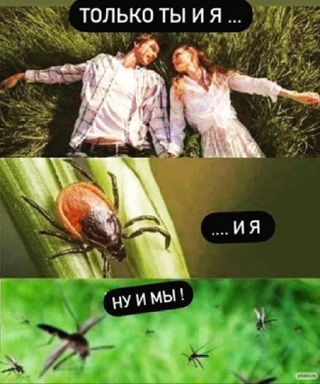 d09eng6smbqhoratn34g.png