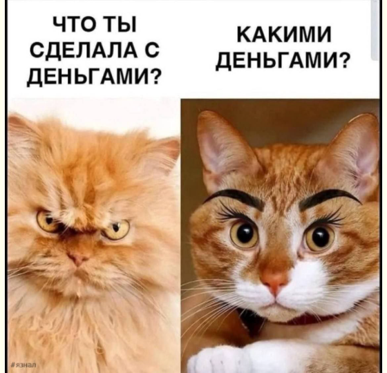 d0a4uqusmbqhoratn56g.png