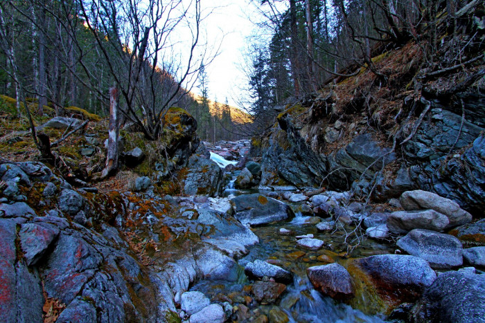 Image00001.jpg