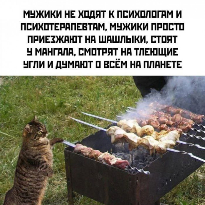 d0ap7gmsmbqhoratn71g.jpeg