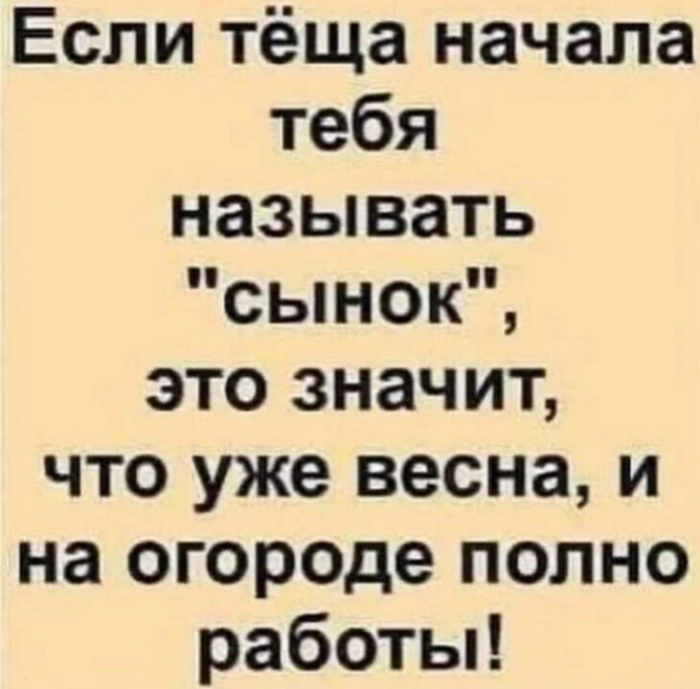 d0ap68esmbqhoratn710.png