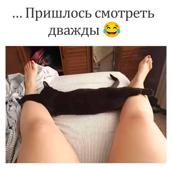 d0je78esmbqq22asdeng.jpeg