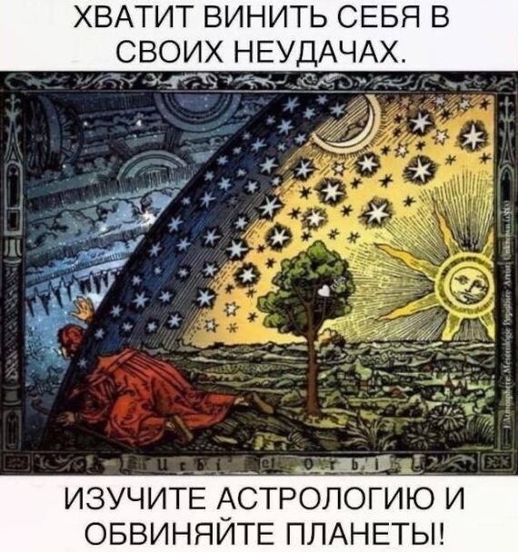 d0gsjkesmbqjrb8o94u0.jpeg