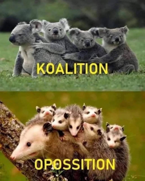 d0nee2msmbqt3hhp9k4g.png