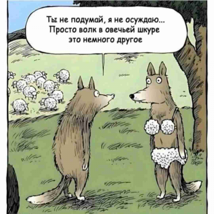 d0qpj06smbqq92q2p96g.png