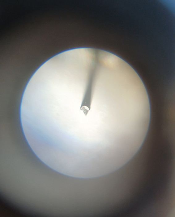 20250529_142706.jpg