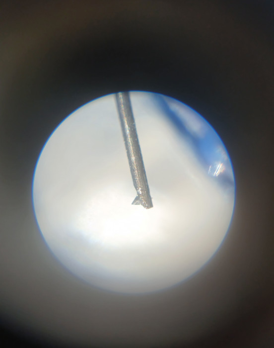 20250529_142449.jpg