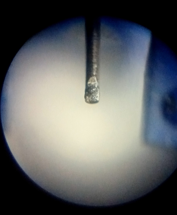 20250529_213926.jpg