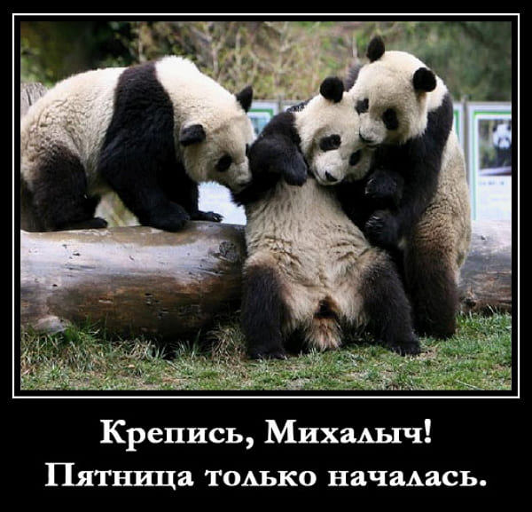 demotivatory-pyatnitsa-humoraf-21.jpg