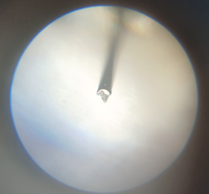 20250529_142706.jpg