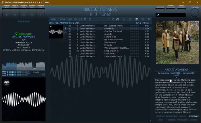 Arctic Monkeys - AM.jpg