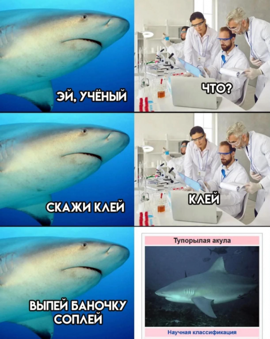 d1kibgmsmbql466q9gf0.png