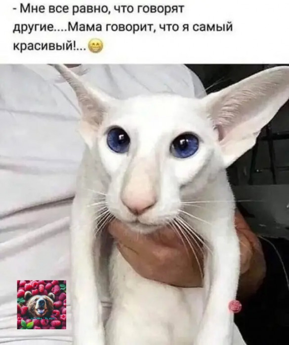 d1n5kfmsmbqm0nci6eh0.jpeg