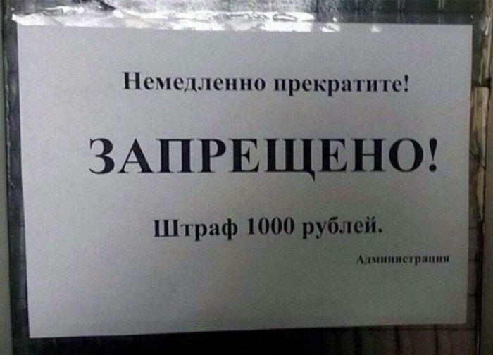 d20f7lesmbqj08v6nh10.jpeg