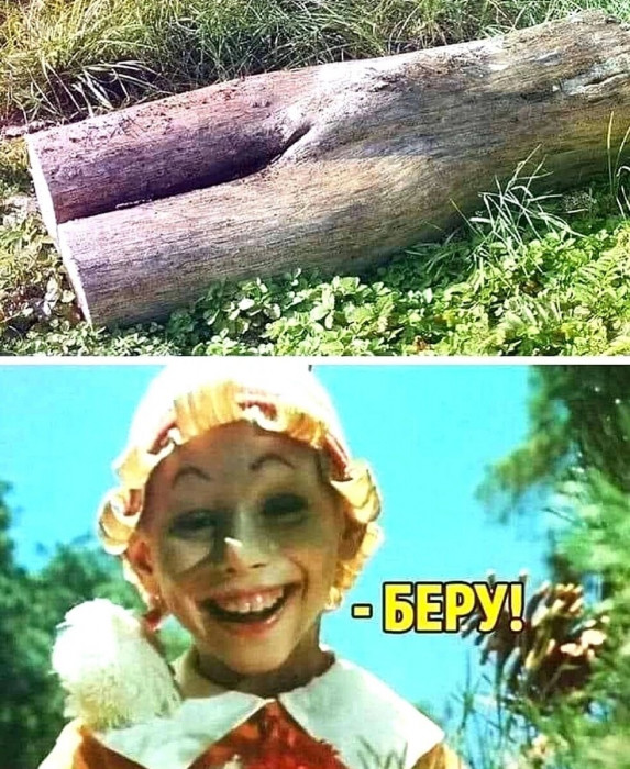 scale_1200.jpeg