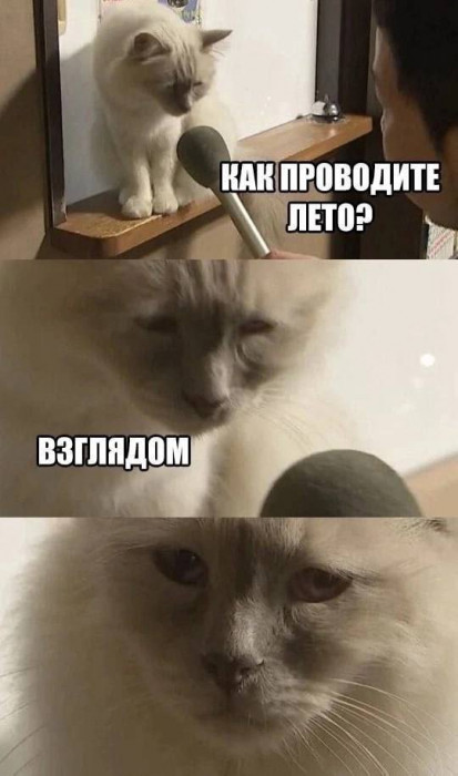 3.jpeg