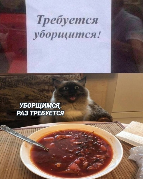 d33b0l6smbqq1hcg28l0.png