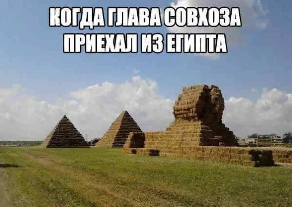 d37s9gusmbqu8tv0olo0.png