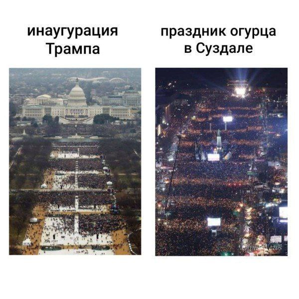 d394ekusmbqu8tv0op80.jpeg