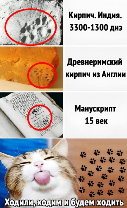 d3g7kqmsmbqsa5pics5g.png
