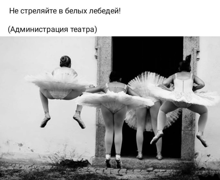 01_06.jpg