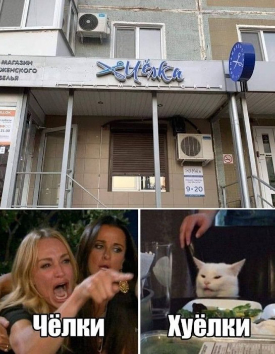 d4e0nlesmbqhhc0miijg.jpeg