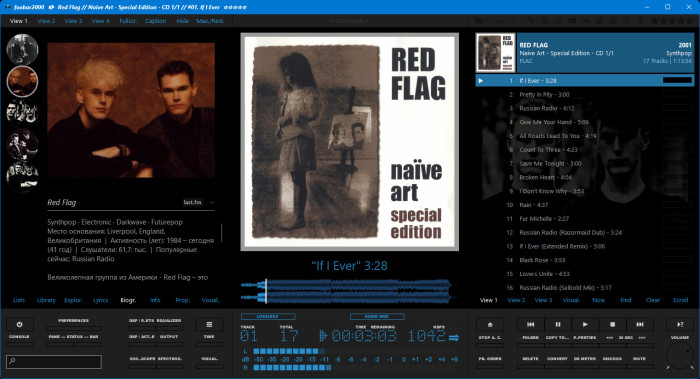 Red Flag - Naive Art - Special Edition .jpg