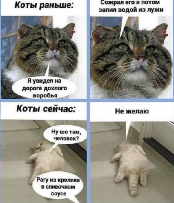 d4qmf7usmbqh7be6otmg.jpeg